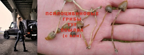 бутират Абаза