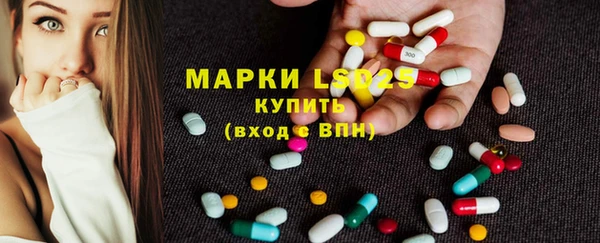 дмт Новозыбков