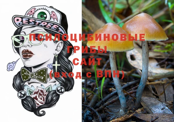 гидра Новокубанск
